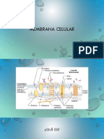 Membrana Celular 2