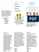 Triptico de Estilos de Aprendizaje PDF