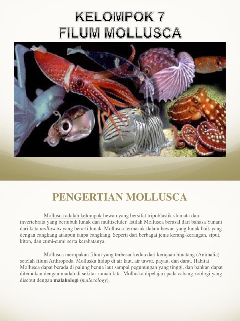 Biologi Power Point