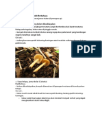 biologi jamur.docx