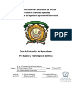 Guía de Evaluación Producción y Tecnología de Semillas