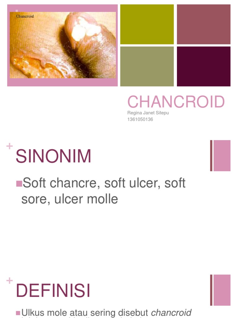 Chancroid Fact Sheet , FACT SHEET – GKAALN