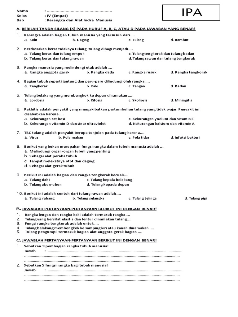 Contoh Soal Dan Jawaban Tentang Kulit Sebagai Alat Indra Peraba Ilmusosial Id