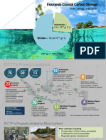 Indonesia Coastal Carbon Storage: Global 19,4x10