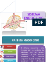 Histologia Farmacia III