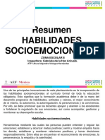 Resumen de Habilidades Socioemocionales ZE8 ULISES AVH