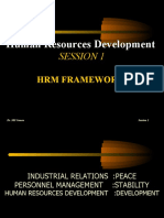 HRM Framework 229