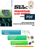 3.struktur Dan Fungsi Sel PDF