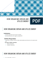How Organisms Obtain and Utilize Energy: Group 2: Report No.3