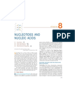 chap08NUCLEOTIDOS Y ACIDOS NUCLEICOS PDF