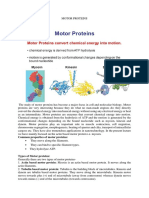 Motor Proteins: Nature's Nanoscale Engines