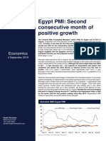 Egypt PMI: Second Consecutive Month of Positive Growth: Economics