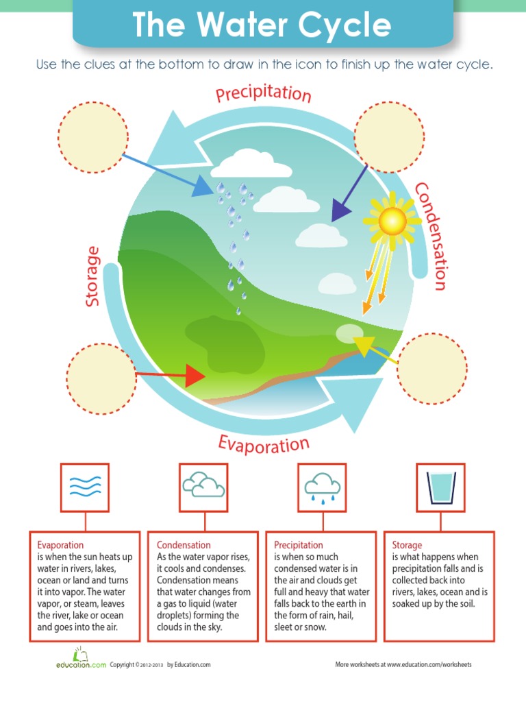Water Cycleworksheet | PDF
