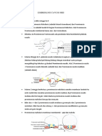 Embriologi Cavum Oral