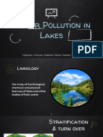 Water Pollution in Lakes