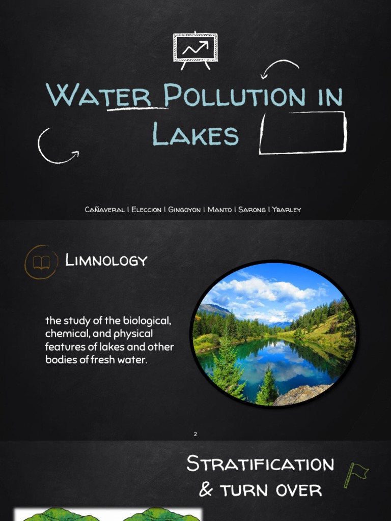 Understanding Lake Water Pollution | PDF | Lake | Natural Environment