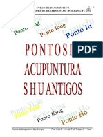 1.1.Apostila Pontos Shu Antigos.pdf