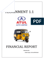 Assignment 1.1: Financial Report