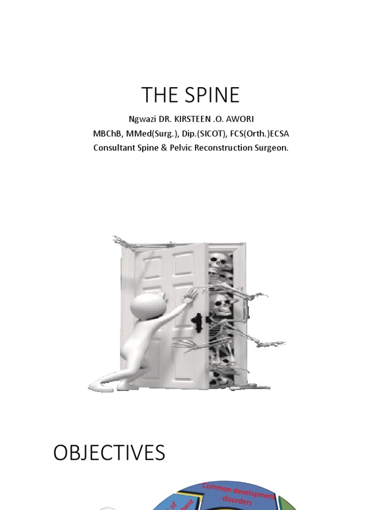 THE SPINE-b-1 | PDF | Vertebral Column | Vertebra