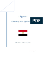 SPTEC Advisory - Egypt 2013 News Review