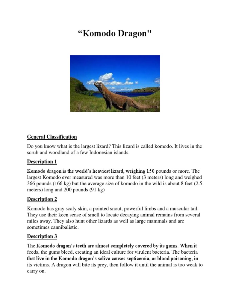 Komodo Dragon: Classification and Description | PDF
