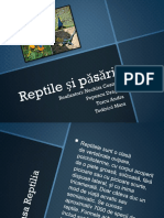 Reptile Si Pasari