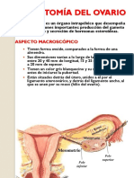 Anatomia Histologia y Hormonas Del Ovario