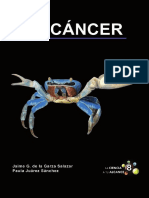 El_Cancer enfermedad-pdf.pdf