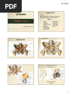 20171025_0216_Aula-8-Quadril-Pelve.pdf