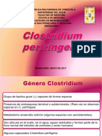 clostridum perfringens