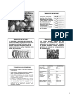 Aula 5 La Maduracion El Etileno (Modo de Compatibilidad)