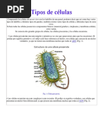 10 Inventos Por La Ciencia