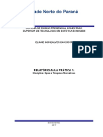 Modelo Relatório Aulas Práticas Estética 2017-01