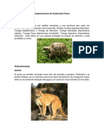 Departamentos de Guatemala Fauna