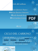 Ciclo Del Carbono