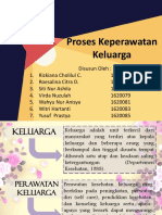 Proses Keperawatan