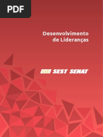 Desenvolvimento de Lideranca (1).pdf