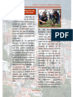 Prevencion y Mitigacion Del Riesgo en La Comunidad PDF