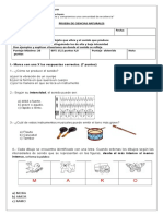 Prueba Ciencias Naturales El Sonido