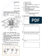 Lks Perkembangbiakan Generatif Pada Tumbuhan JWBN