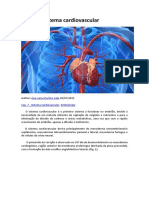 Sistema cardiovascular embriologia