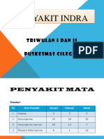 Binwil Program Indra TW I