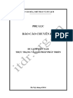 Phu Luc Bao Cao DLVN PDF