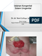 3.1.1.2 Kelainan Kongenital Sistem Urinarius PDF