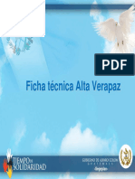 FT__AltaVerapaz.pdf