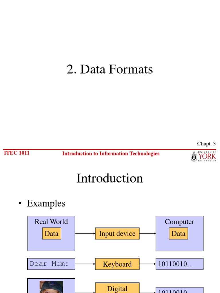 Data Formats in Information Technology | PDF | Binary Coded Decimal | Ascii