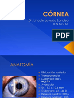 Clase Cornea