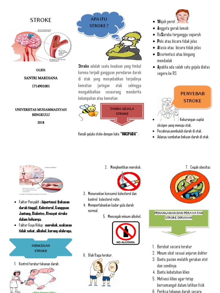 309038300 Leaflet Stroke 309038300 Leaflet Stroke