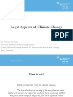 International Environmental Laws (2 Presentations) - Cosmin Corendea