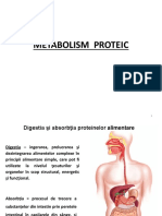 Proteine